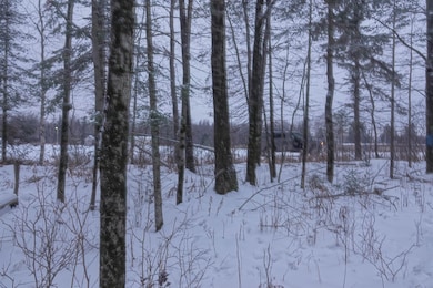 000 Hetland Ave, Greenwood, WI 54470 - photo 4