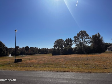 Lot 90 Lindsay Ln, Crescent City, FL 32112 - photo 2