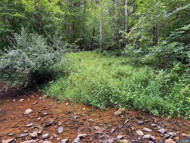 TBA Old Green Mountain Rd unit 500, Esmont, VA 22937 - photo 5