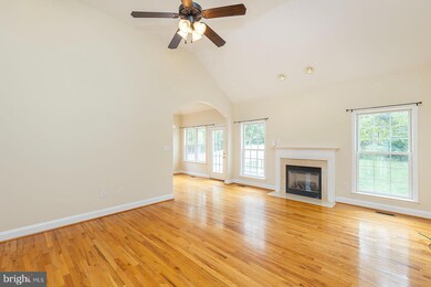 816 Island Farm Rd, Strasburg, VA 22657 - photo 6