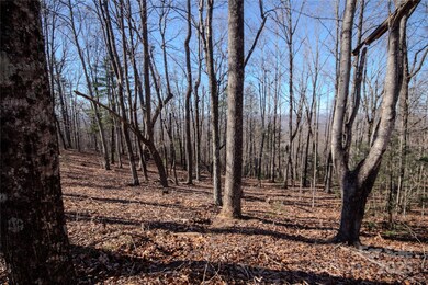 2212 Nighthawk Ridge Ct unit 29, Lenoir, NC 28645 - photo 4