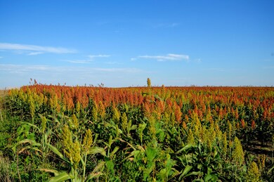 NW4 Sec 36 238th St T106 R76, Kennebec, SD 57544 - photo 4