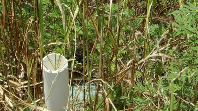 17 D Crappie Ln, Hilham, TN 38568 - photo 5