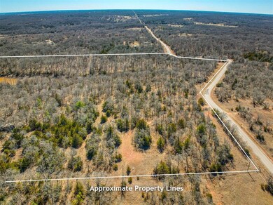 View of drone / aerial view