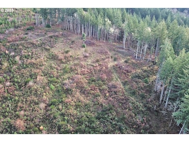 0 SW Eagle Point Rd, Sheridan, OR 97378 - photo 6