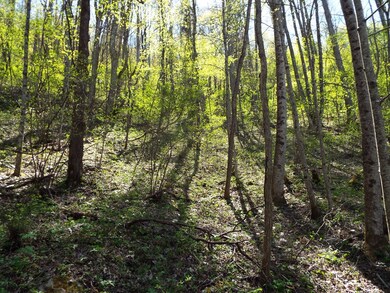 000 Bannick Springs Rd, Whittier, NC 28789 - photo 5