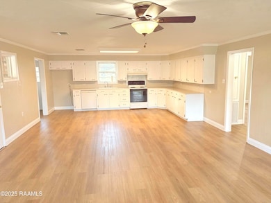 804 N Louisiana Ave, Kaplan, LA 70548 - photo 3