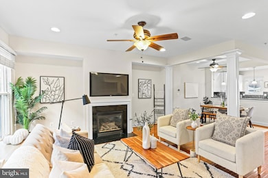 23 Yogurt Ln, Baltimore, MD 21231 - photo 2