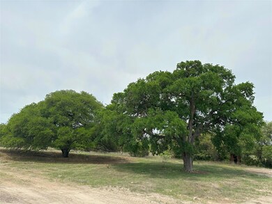 View of local wilderness