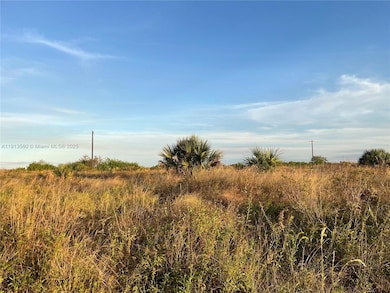 517 Ella Jean Place, Labelle, FL 33935 - photo 3