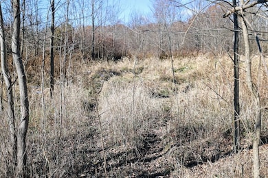 Vl 32nd Ave, Covert, MI 49043 - photo 4