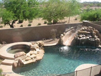 Oasis back yard