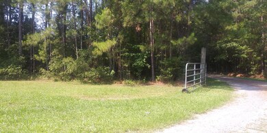 Condo Way 2