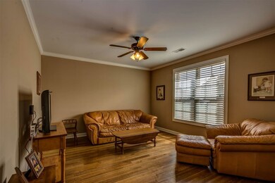 Hardwood Floor, Ceiling Fan and Warm, Neutral Pain