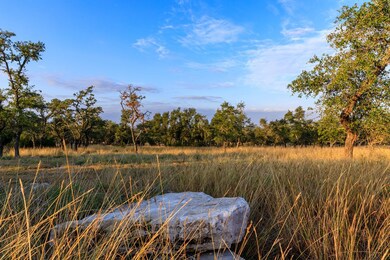 6690 Ranch Road 965, Fredericksburg, TX 78624 - photo 3