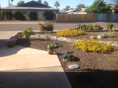 Front yard