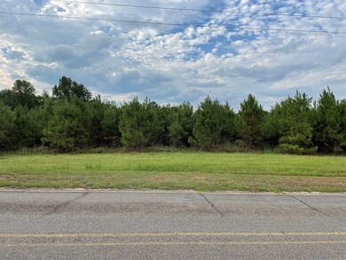 XXX Rushingtown Rd, Tylertown, MS 39667 - photo 3
