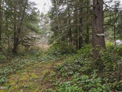 6010-NWFoxCreekWay-SealRock-22-020