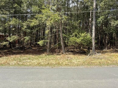 170 / 171 Sir Gawain Ct, Pocono Lake, PA 18347 - photo 3