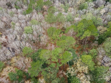 6345 Lake Alapaha Blvd, Naylor, GA 31641 - photo 5