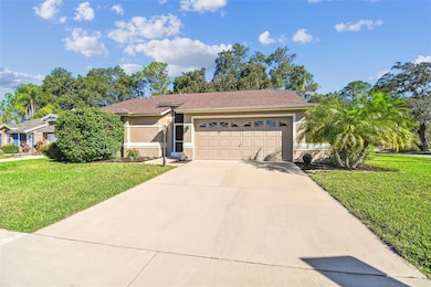 13103 Topflite Ct, Hudson, FL 34669 - photo 3