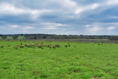 241 Hall Rd, Luling, TX 78648 - photo 2