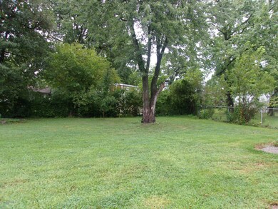 b back yard