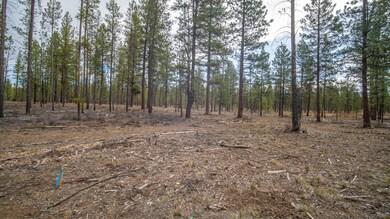56319 Elk Run Dr, Bend, OR 97707 - photo 2