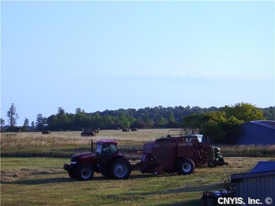 Land