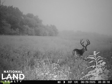 0 Hwy 39, Hepler, KS 66746 - photo 2