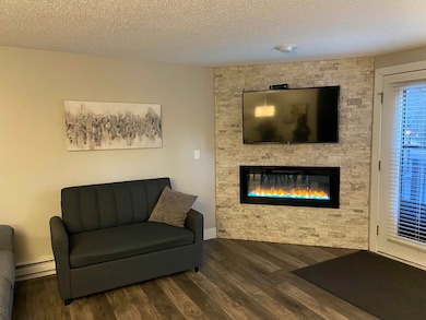 1093 Canyon Rd unit 406, Wisconsin Dells, WI 53965 - photo 7