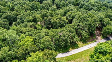 181 Tomhawk Ln, Spavinaw, OK 74366 - photo 4