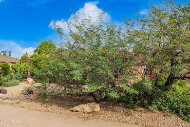 2931 N 8th Ave, Phoenix, AZ 85013 - photo 7