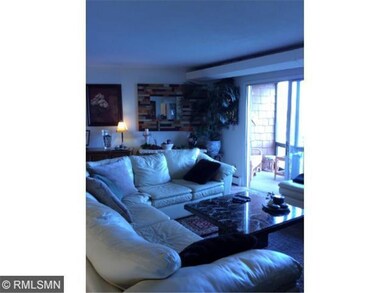 Living Area overlooking Lake Mtka