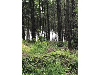 00 Cater (East) Rd, Warren, OR 97053 - photo 7