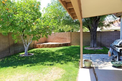 backyard 2