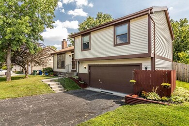 3667 Bushmill Falls Dr 03-1