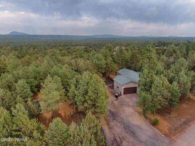 2972 Tall Pine Rd, Show Low, AZ 85901 - photo 4