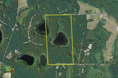 Lake 78 Aerial 2