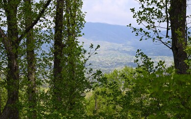 1609 Walnut Ridge, Ellijay, GA 30536 - photo 2