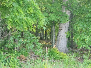 0 Rocky Ford Rd unit 899156, Bedford, VA 24523 - photo 7