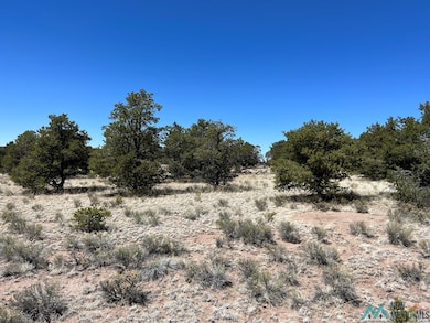 89 Ponderosa View Loop, Pie Town, NM 87827 - photo 2