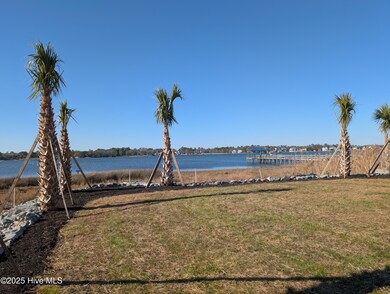 171 Big Hammock Point Picture 3
