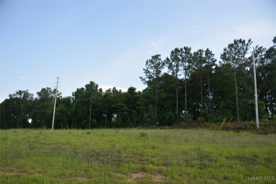 22877 Highway 84, Elba, AL 36323 - photo 7