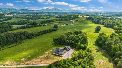 5-web-or-mls-DJI_0500