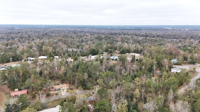 Vacant Walnut St, Chattahoochee, FL 32324 - photo 4