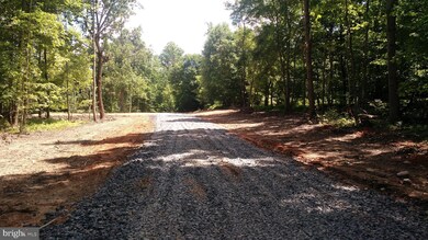 LOT 2H Venus Branch Rd, Shenandoah, VA 22630 - photo 2