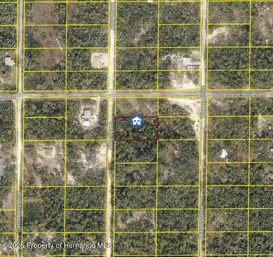 LOT 15 Alloy St, Webster, FL 33597 - photo 2