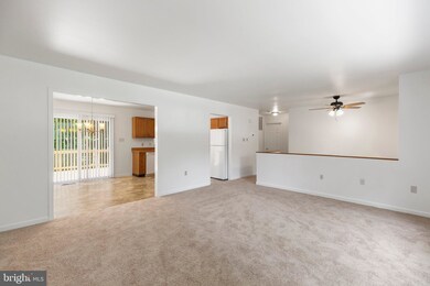 423 Albany St, Fredericksburg, VA 22407 - photo 4