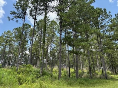 182 Hwy 44, Tylertown, MS 39641 - photo 3